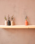 Unsanded reclaimed scaffold board as a shelf with plant pots