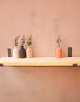 New Wooden Shelf Kit (225mm width) - Hanging Bracket