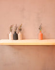 New Floating Wooden Shelf Kit (225mm width)