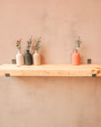 New Chunky Radiator Shelf Kit (165mm width) - Hanging Bracket