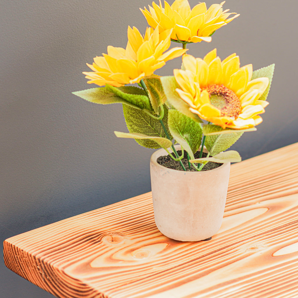 Flamed wooden desk with plant pot showcasing grain pattern